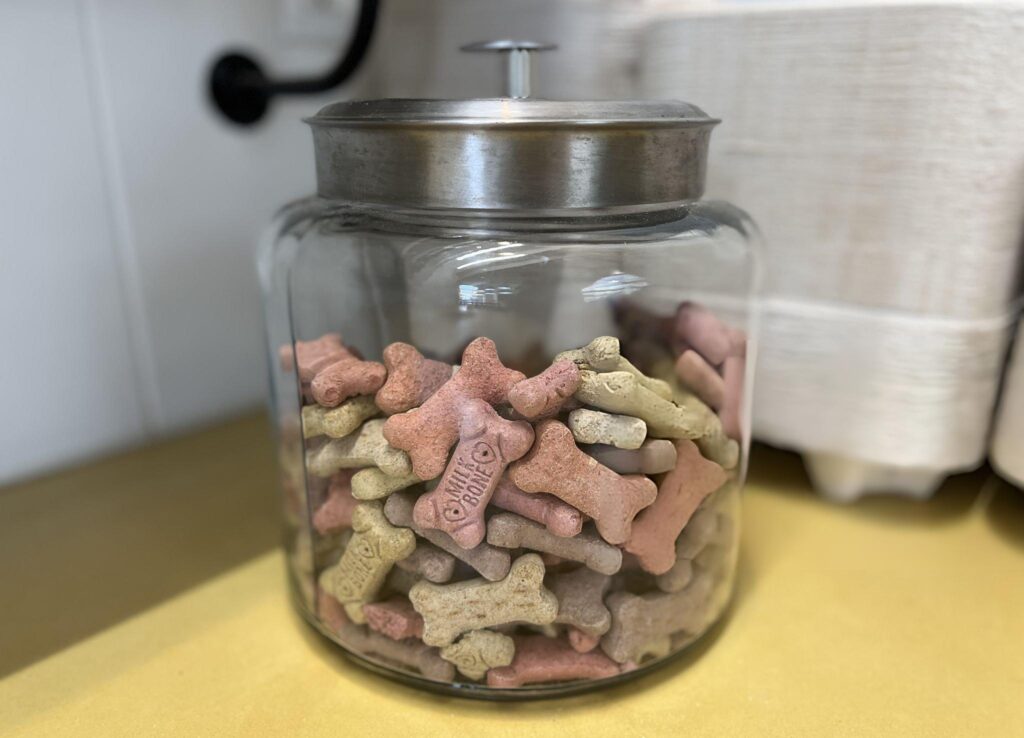 pet treats